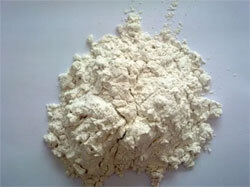 Diatomaceous earth 