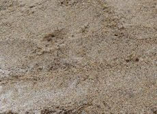 Yellow-sand Yellow sand
