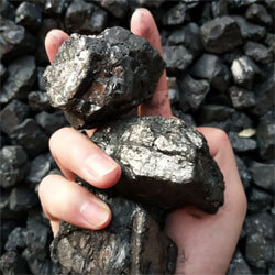 Bituminous coal