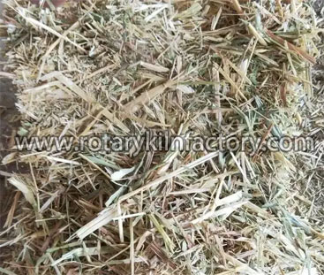 Sorghum straw 