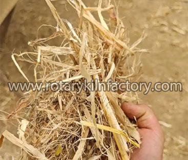 Corn straw 