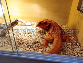 Animal-bedding Animal bedding