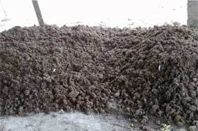 chicken-manure-pic Chicken manure
